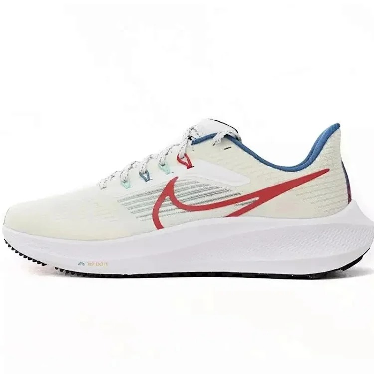 Nike Zoom Pegasus 39