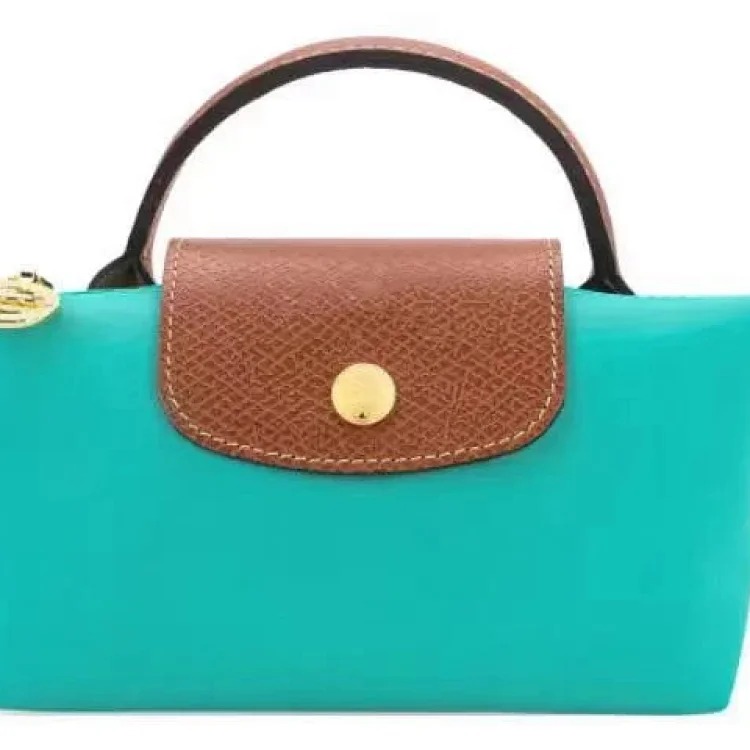 Dumpling bag mini cross-body single shoulder bag for women with shoulder strap without punching and versatile