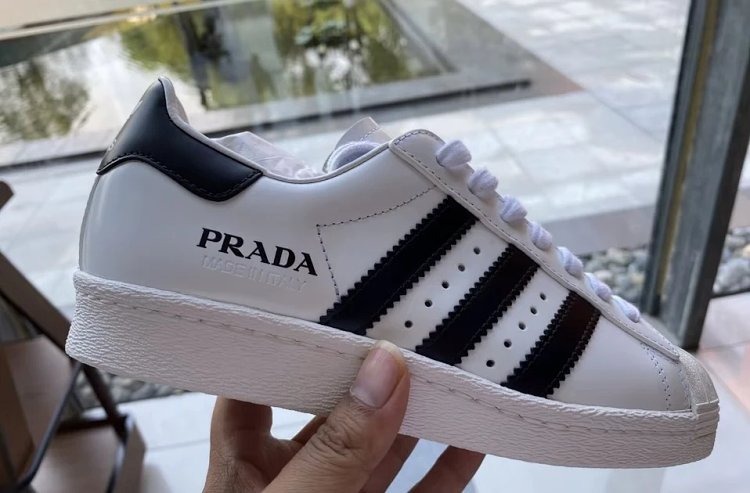 Adidas Shell Head Prada Co Branded Board Shoes Sports and Leisure ShoesPRADA X Sneakers