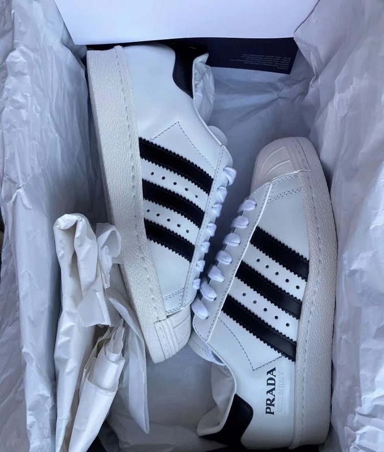Adidas Shell Head Prada Co Branded Board Shoes Sports and Leisure ShoesPRADA X Sneakers