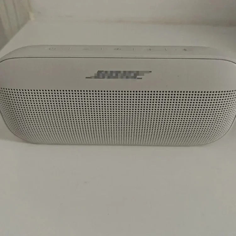 Bose FLEX Dome product image