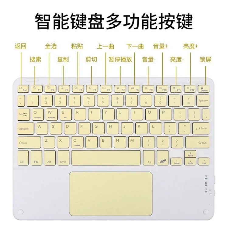 Fashion Accessory 7800914014