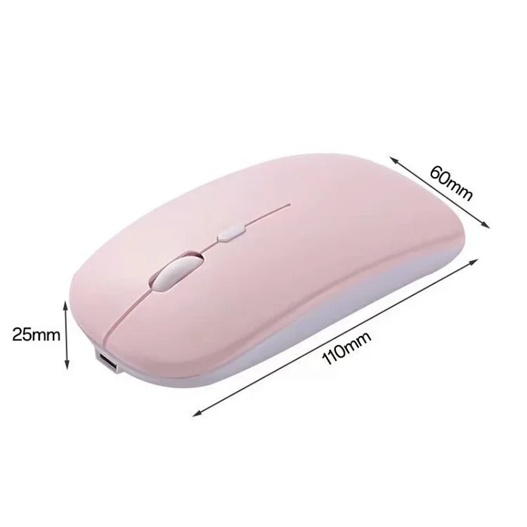 Fashion Accessory 7801159608