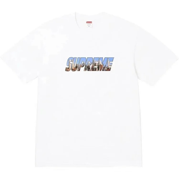 Pure cotton letter short-sleeved tee men's and women's classic printed T-shirts, loose and casual