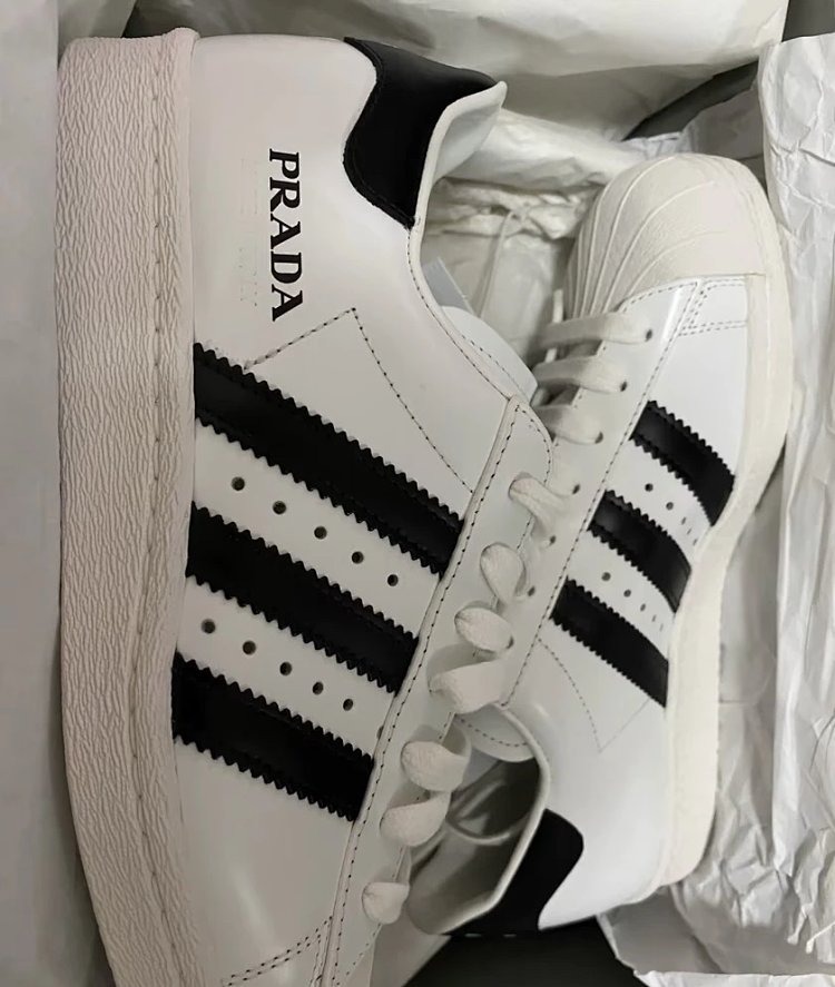 Adidas Shell Head Prada Co Branded Board Shoes Sports and Leisure ShoesPRADA X Sneakers