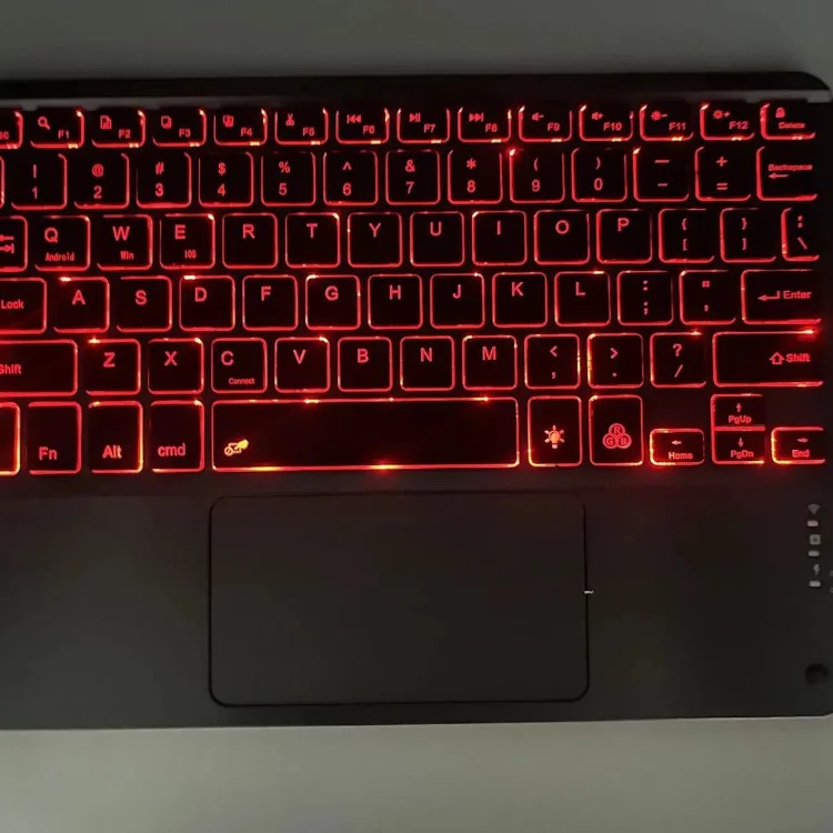 Fashion Accessory 7797773267