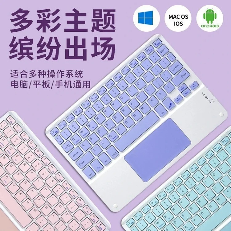 Fashion Accessory 7797773267