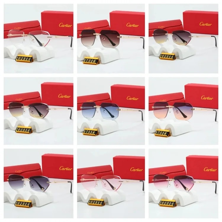 Trendy Sunglasses