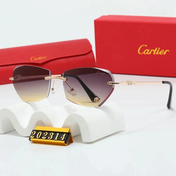 Trendy Sunglasses