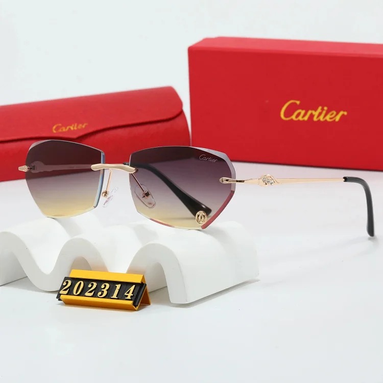 Trendy Sunglasses
