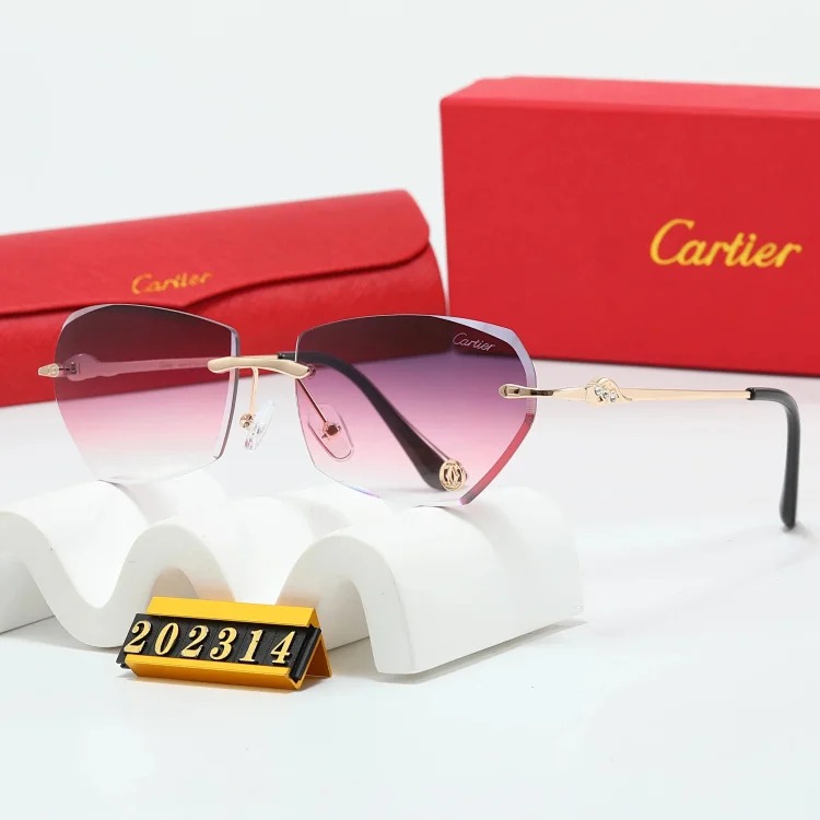 Trendy Sunglasses