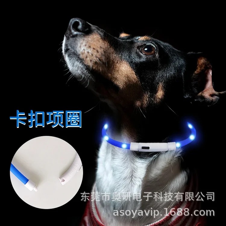 Fashion Accessory 7798995815