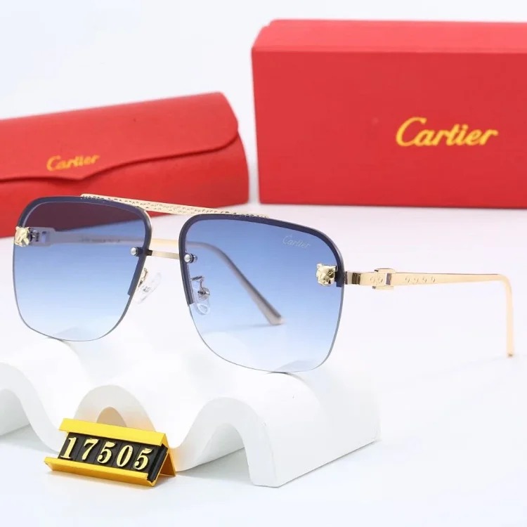 NEW-1 Not all sunglasses are called "fashionable", but mine is exactly the style!