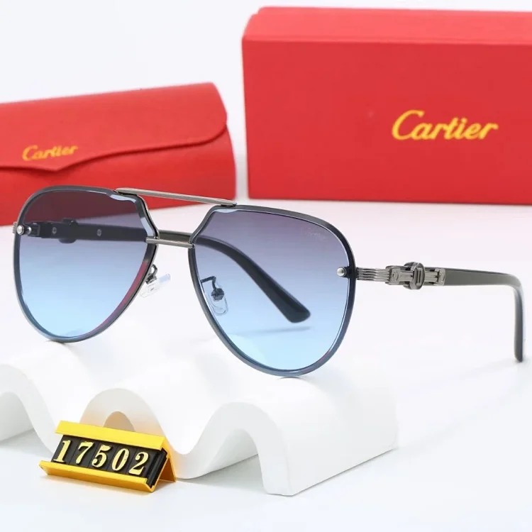 NEW-1 Not all sunglasses are called "fashionable", but mine is exactly the style!