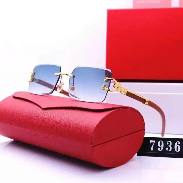 Fashion Sunglasses
