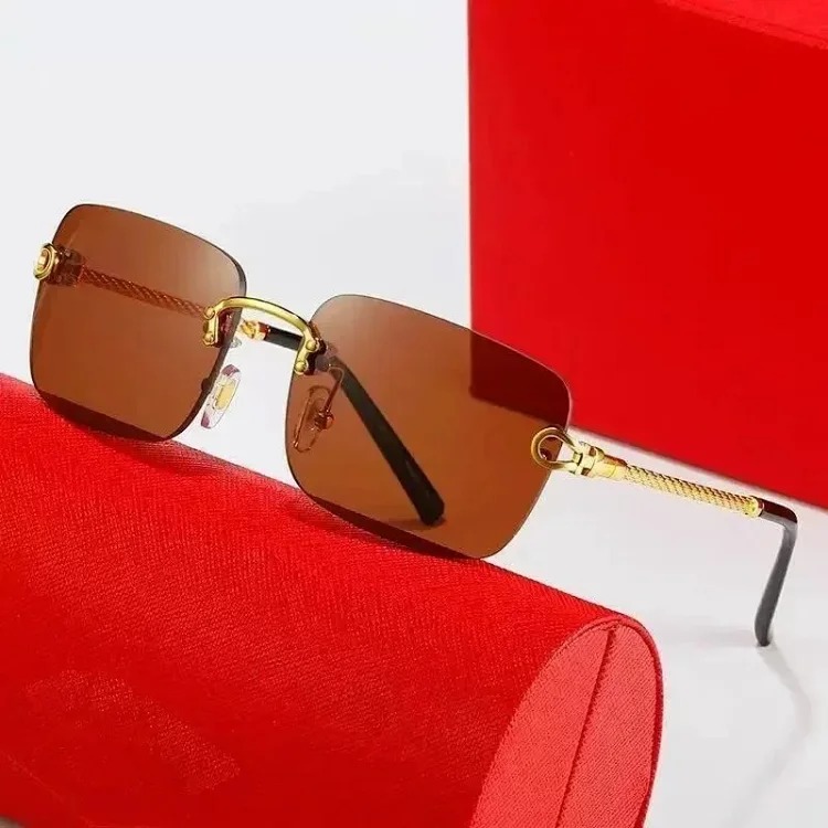 Fashion Sunglasses