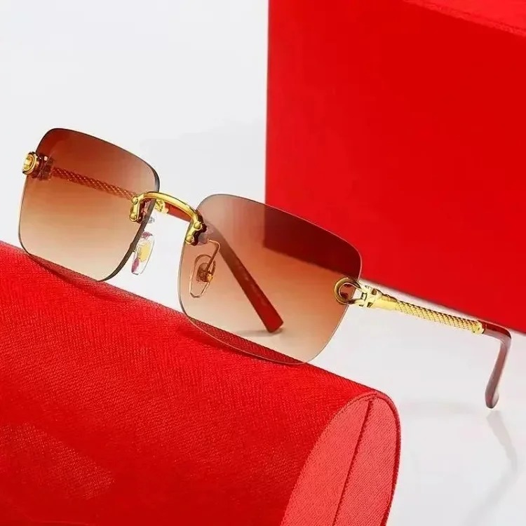 Fashion Sunglasses