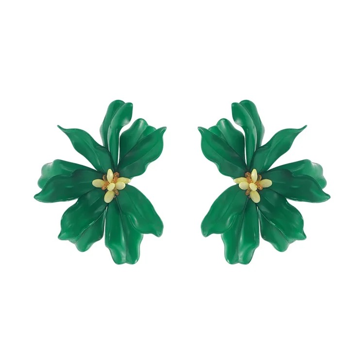 Fashion Earrings