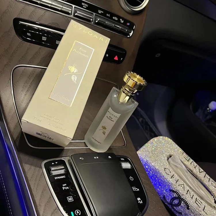 Fashion Accessory 7801873384