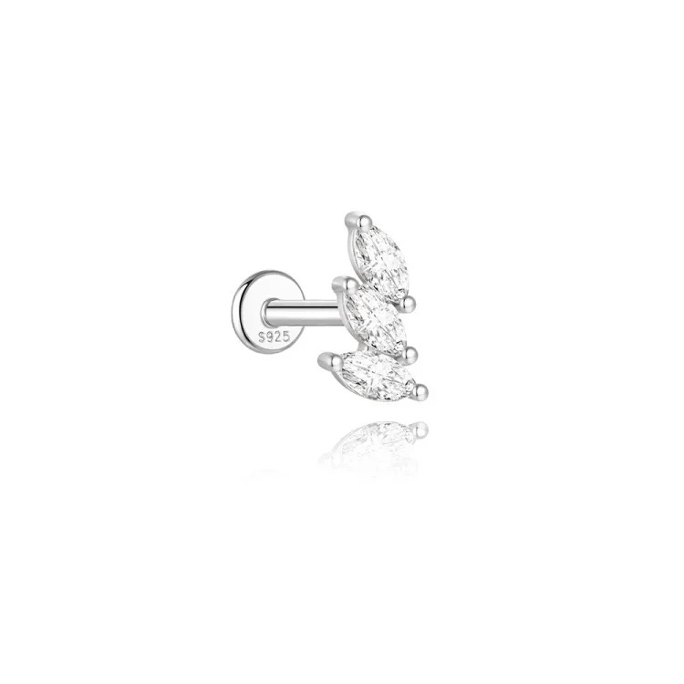 Luxury Silver Earrings