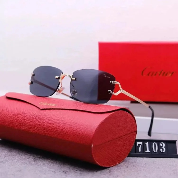 Fashion Trendy Sunglasses