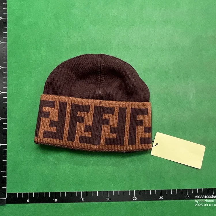 Ins warm fashion hat