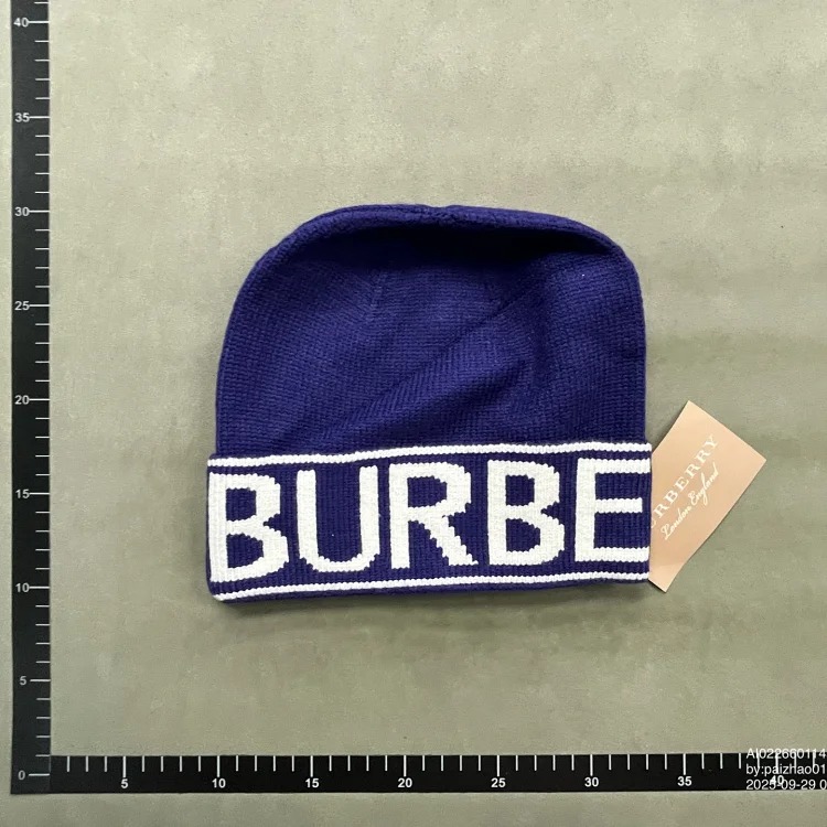 Ins warm fashion hat