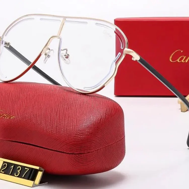 2025 new fashion sunglasses-CY