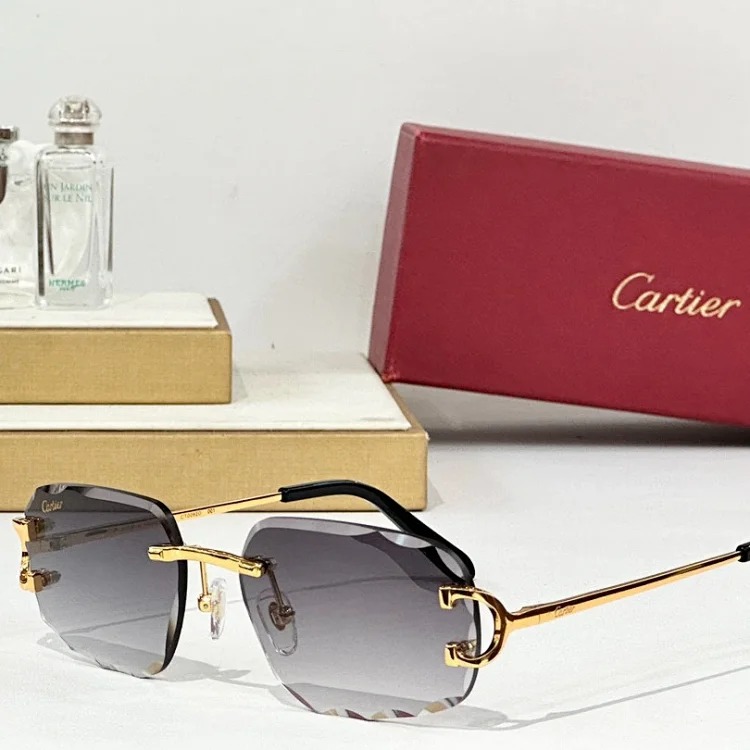 Fashion Versatile Sunglasses
