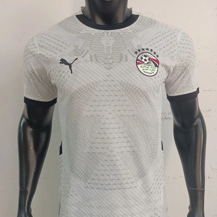 Football Jersey 497